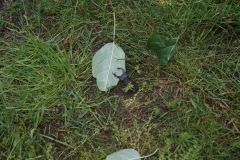 DSC01407