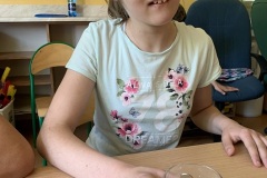 IMG_1781