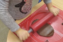 IMG_20201203_085249_1