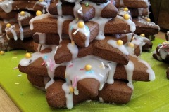 IMG_20201204_104234_1