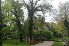 IMG_20210518_093822-1