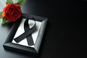 Read more about the article 
